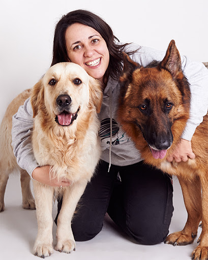 Sentido Animal - Centro de adiestramiento canino en positivo en Madrid
