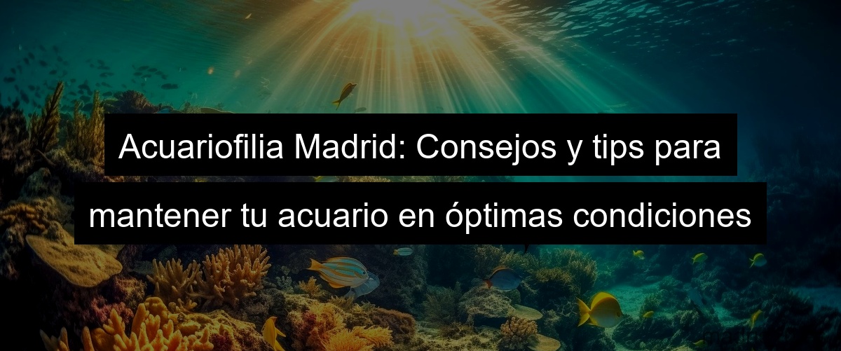 Acuariofilia Madrid: Consejos y tips para mantener tu acuario en óptimas condiciones