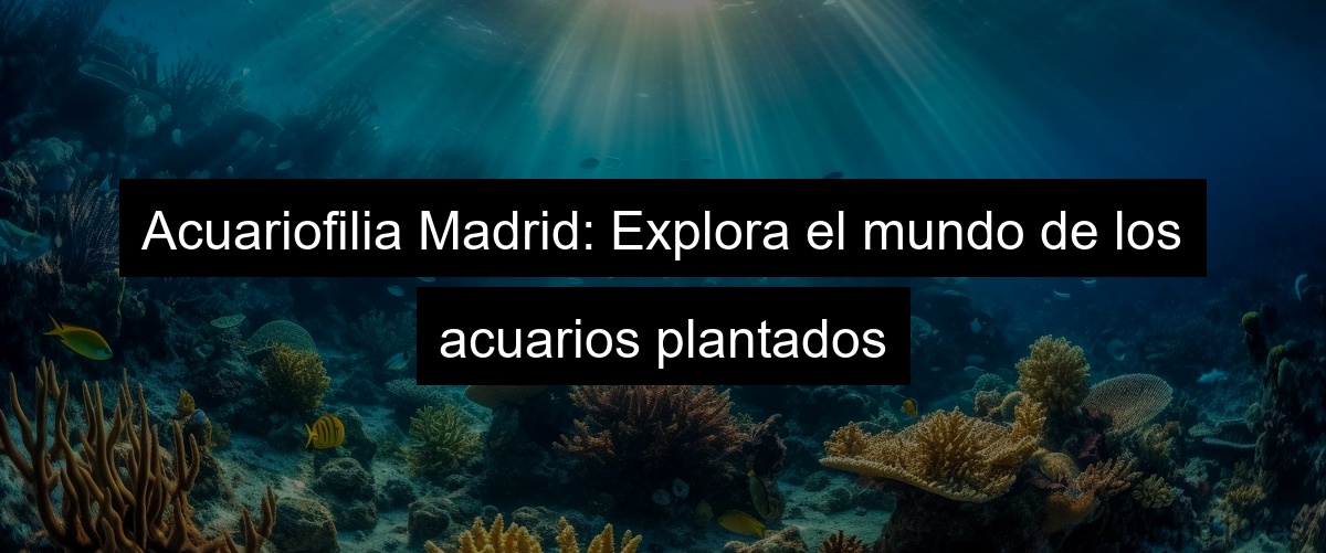 Acuariofilia Madrid: Explora el mundo de los acuarios plantados