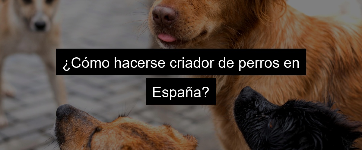 ¿Cómo hacerse criador de perros en España?