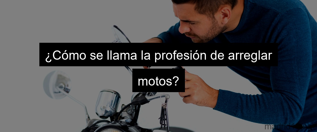 ¿Cómo se llama la profesión de arreglar motos?