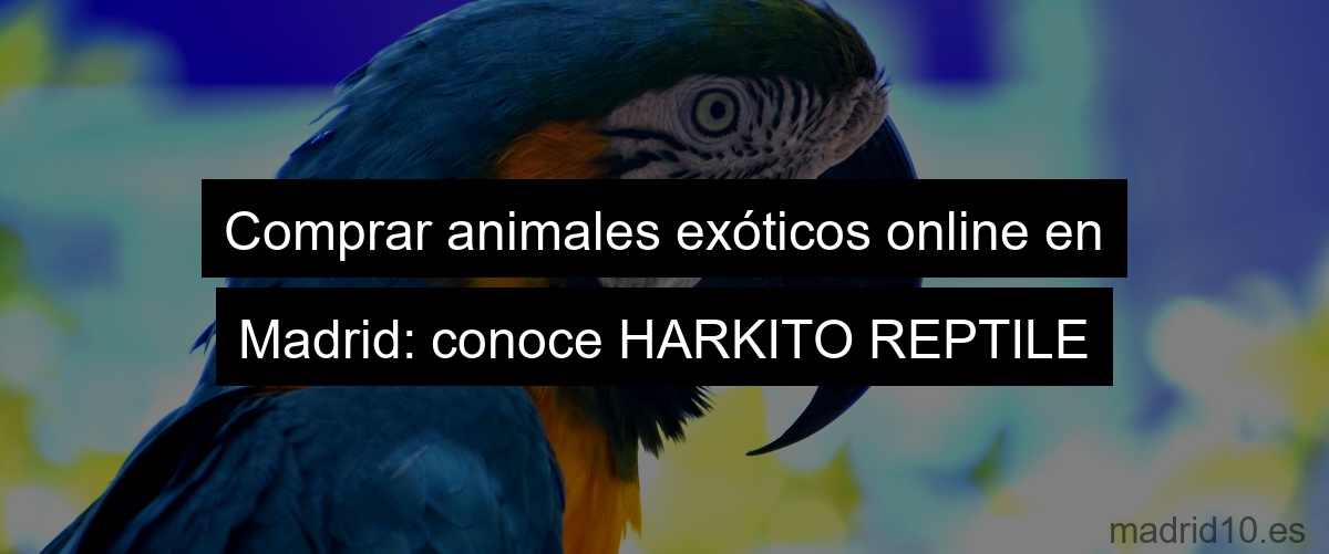 Comprar animales exóticos online en Madrid: conoce HARKITO REPTILE