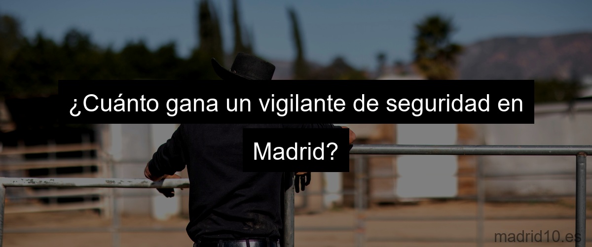 ¿Cuánto gana un vigilante de seguridad en Madrid?