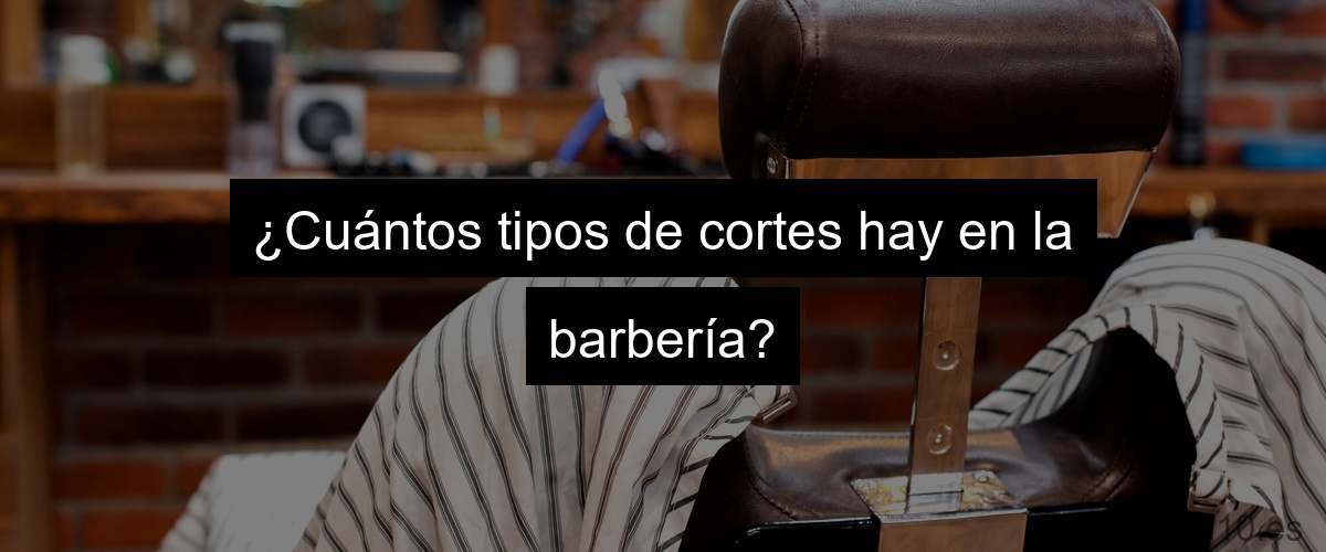 ¿Cuántos tipos de cortes hay en la barbería?