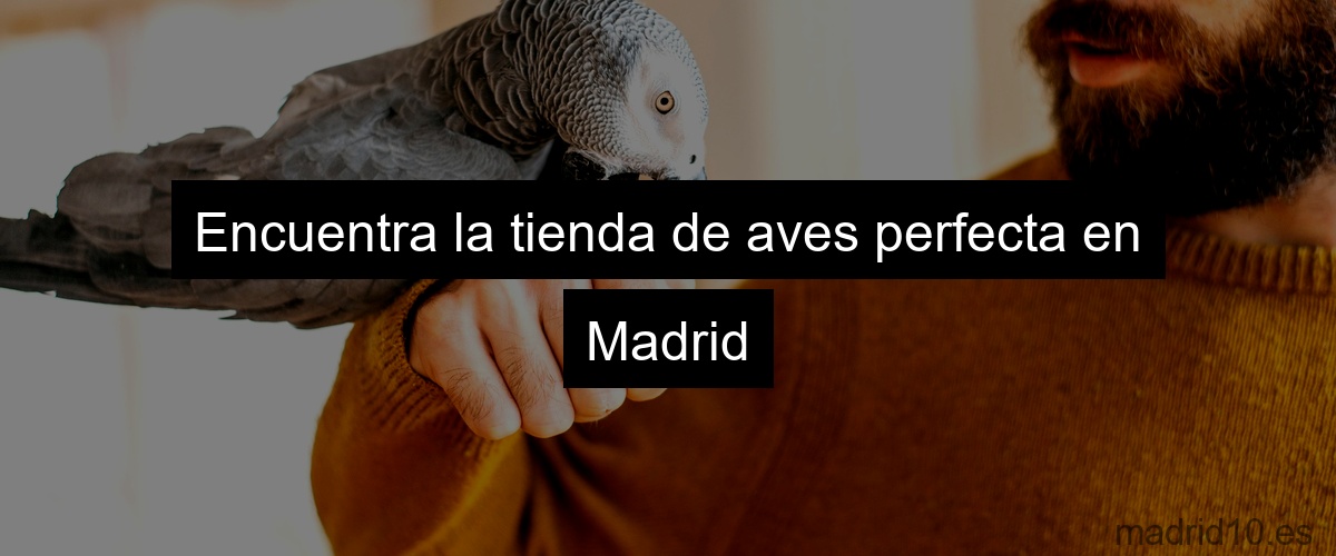 Encuentra la tienda de aves perfecta en Madrid