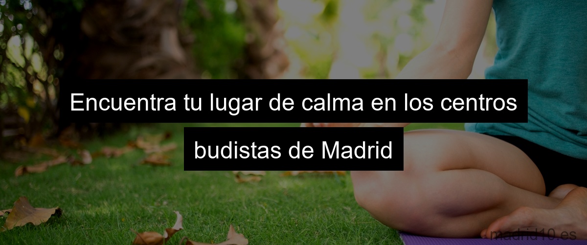 Encuentra tu lugar de calma en los centros budistas de Madrid