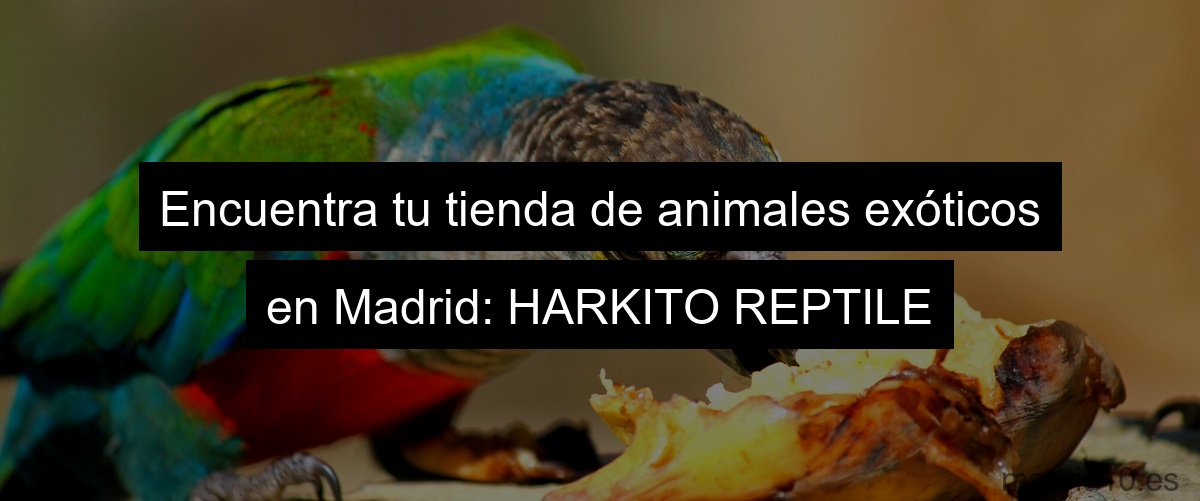 Encuentra tu tienda de animales exóticos en Madrid: HARKITO REPTILE