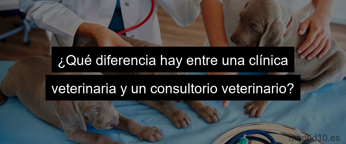 ¿Qué diferencia hay entre una clínica veterinaria y un consultorio veterinario?