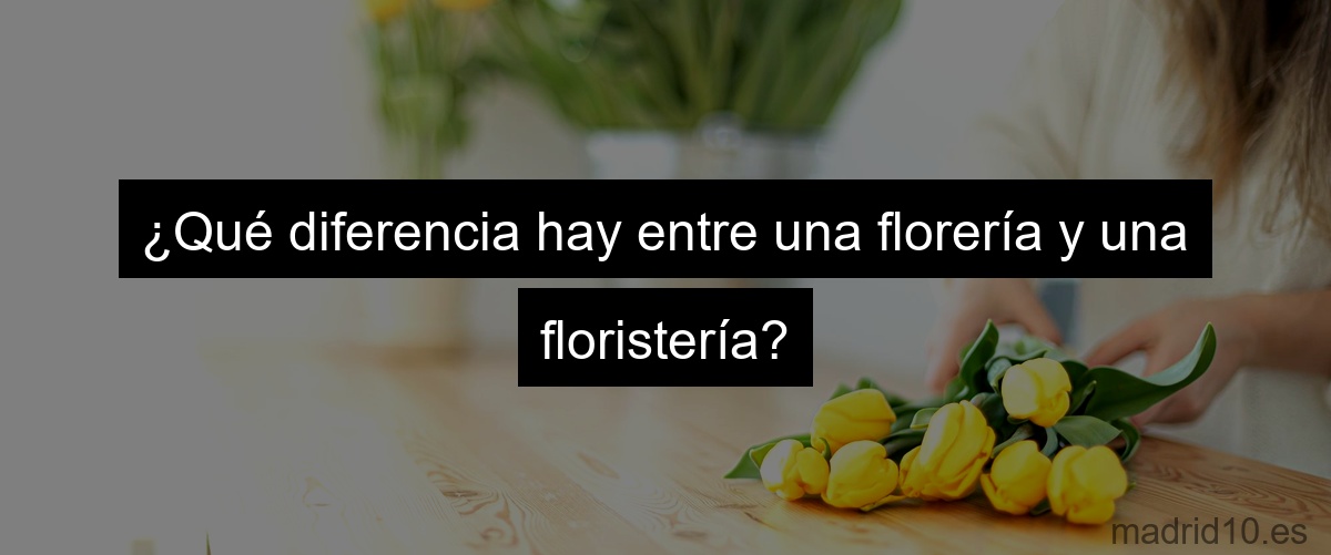 ¿Qué diferencia hay entre una florería y una floristería?