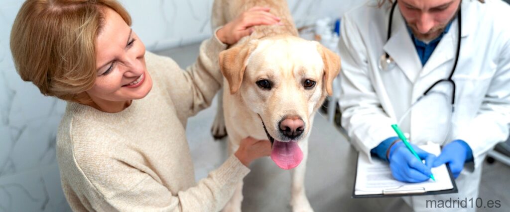 20 Mejores clínicas veterinarias en Madrid