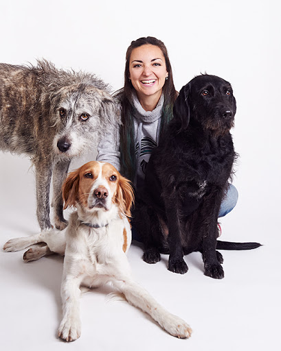 Sentido Animal - Centro de adiestramiento canino en positivo en Madrid