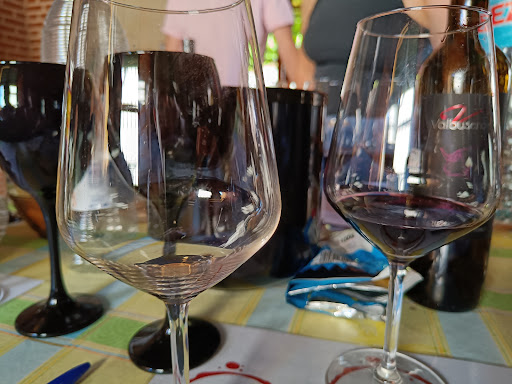 Catas de vinos Madrid