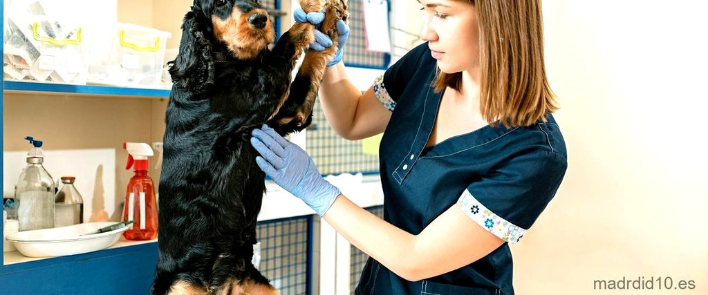  ¿Cuál es el mejor hospital veterinario en Madrid? 