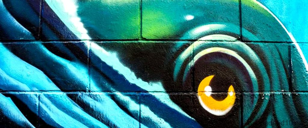 Las 4 mejores tiendas de graffiti en Madrid